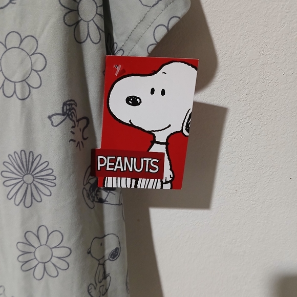 Peanuts Charlie Brown, Snoopy & Friends Women’s gray Pajama Set Size: L (NEW) - Picture 3 of 9